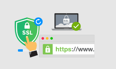 使用 acme.sh 申请泛域名证书-我是Tron